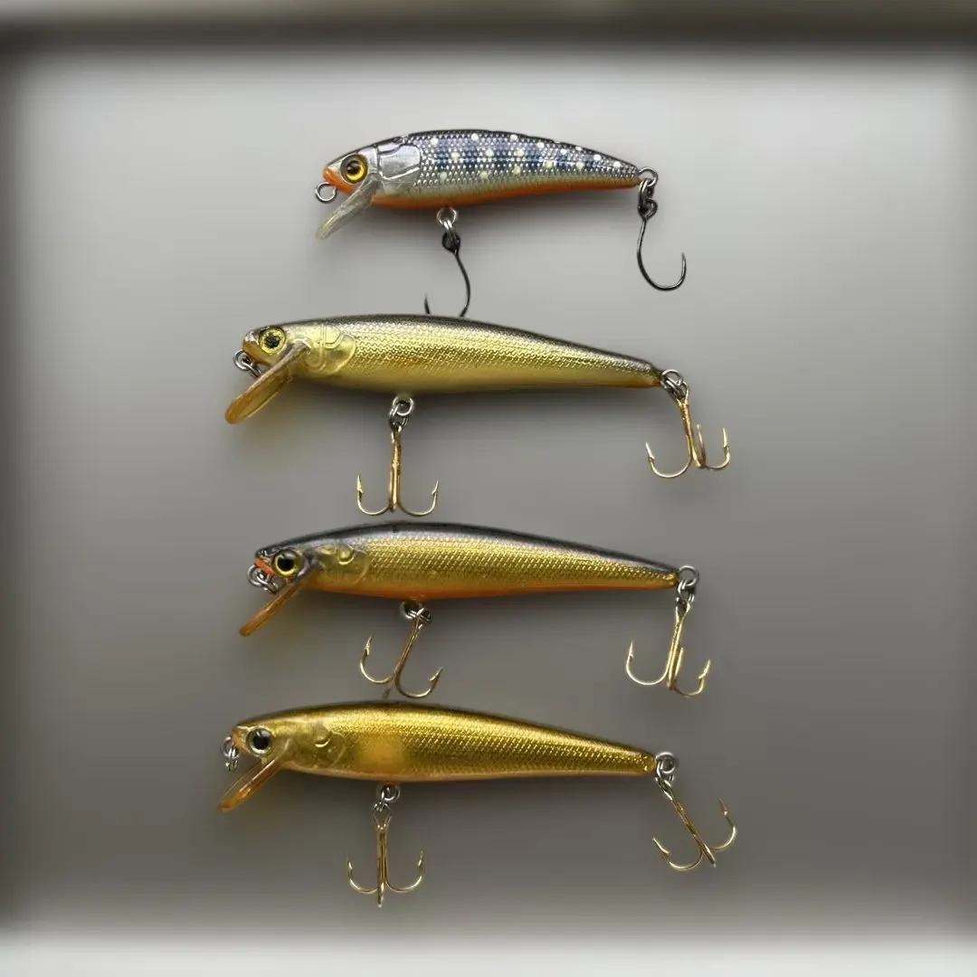 2026年最新】チップミノーの人気アイテム - メルカリ