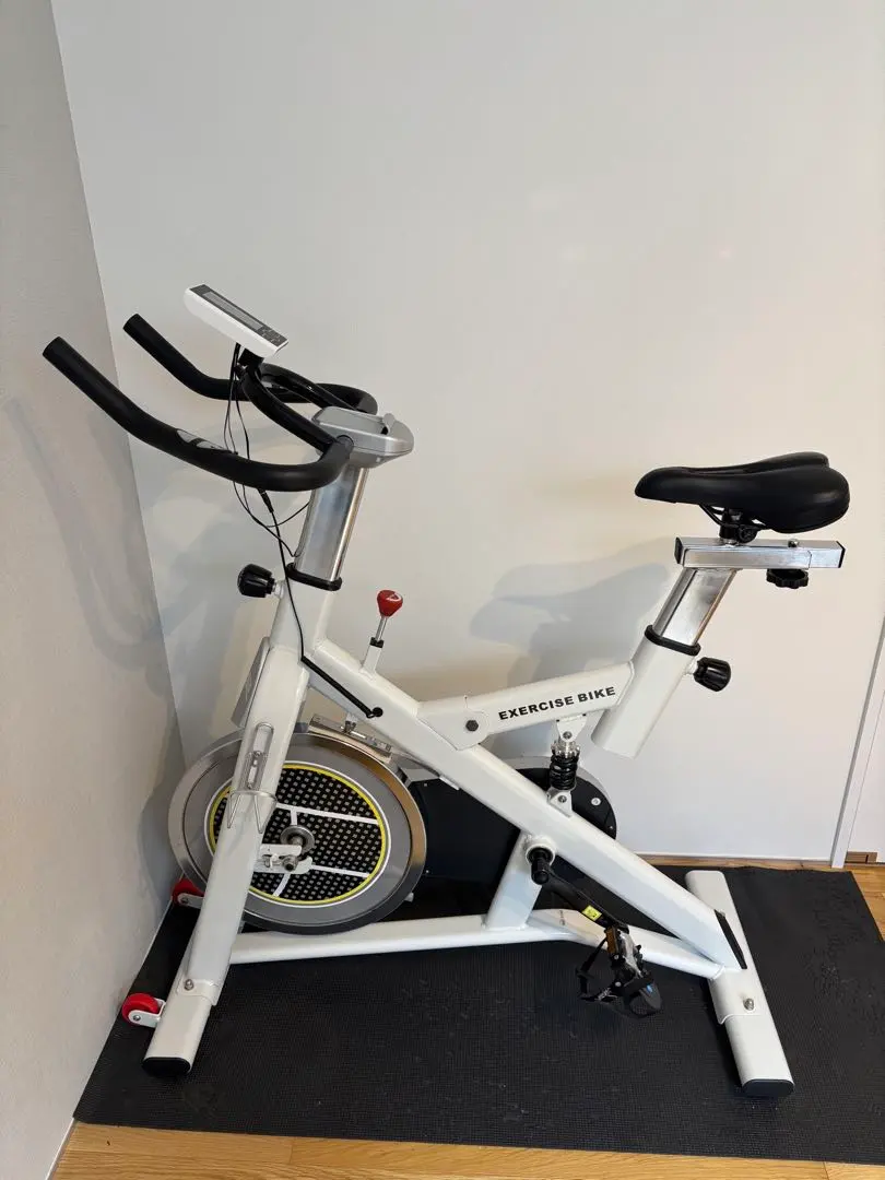 2026年最新】haige スピンバイクの人気アイテム - メルカリ