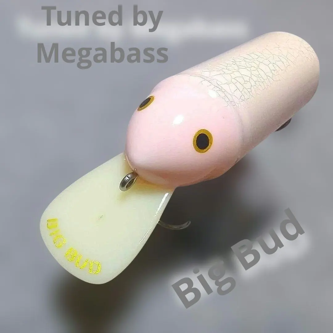 2026年最新】メガバス ビッグバドの人気アイテム - メルカリ