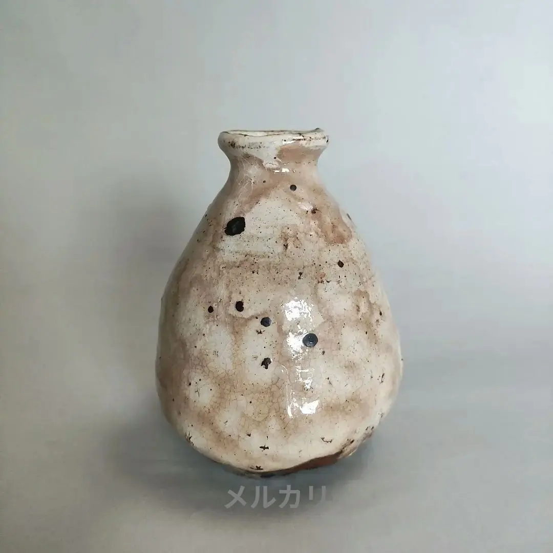 2026年最新】中川自然坊の人気アイテム - メルカリ