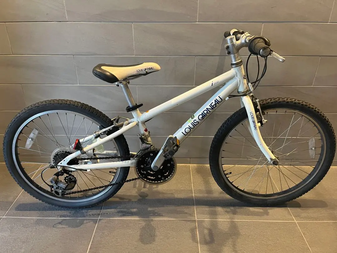 2026年最新】ルイガノ 22インチの人気アイテム - メルカリ