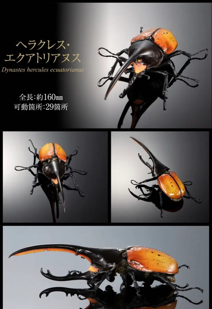 2026年最新】エクアトリアヌスの人気アイテム - メルカリ