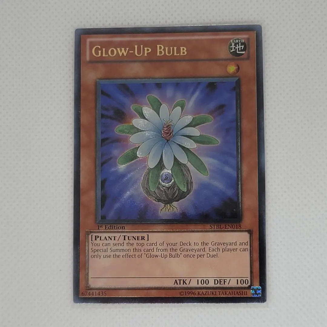 2026年最新】グローアップバルブ 英語の人気アイテム - メルカリ