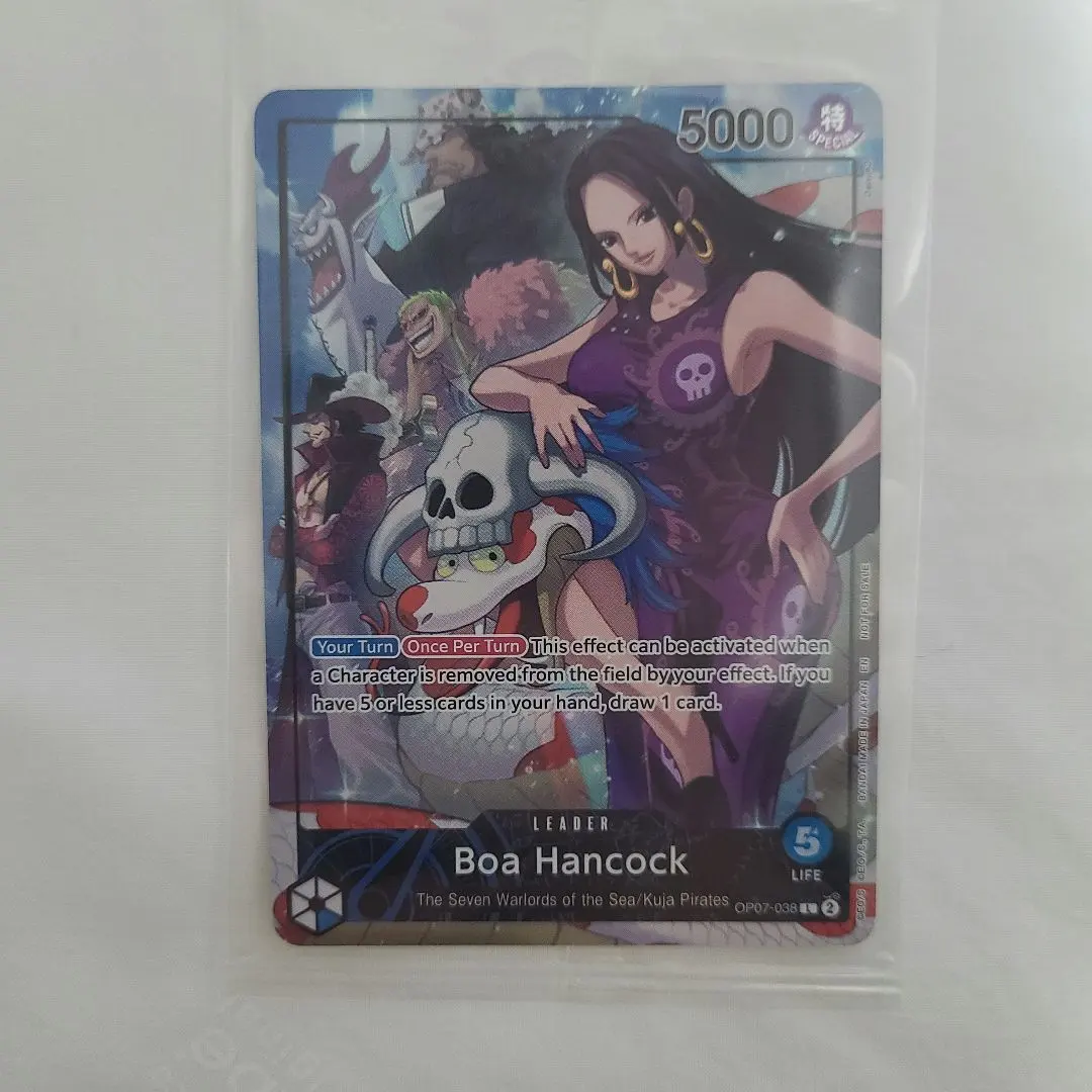 m95270143256_1.jpg?1770438209