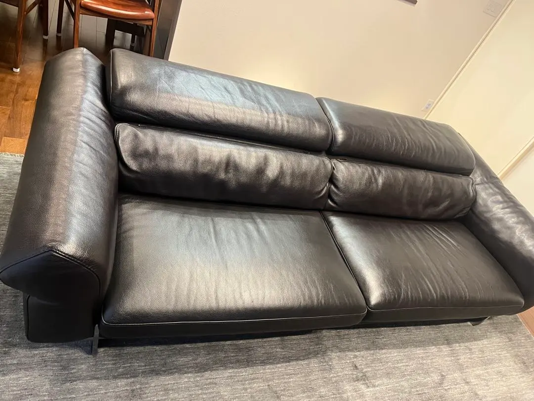 2026年最新】ロッシュボボア ソファの人気アイテム - メルカリ