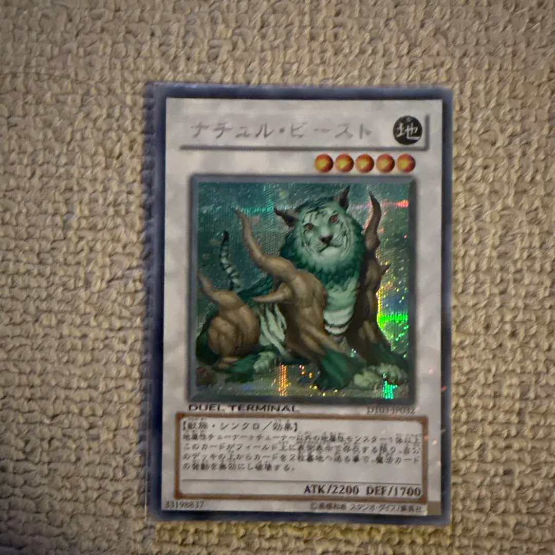 2026年最新】ナチュル ビースト シークレットの人気アイテム - メルカリ