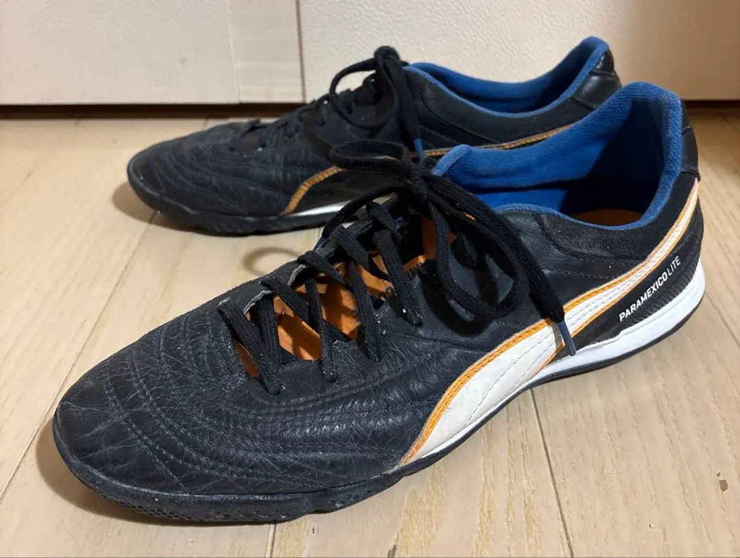 2026年最新】パラメヒコライトの人気アイテム - メルカリ