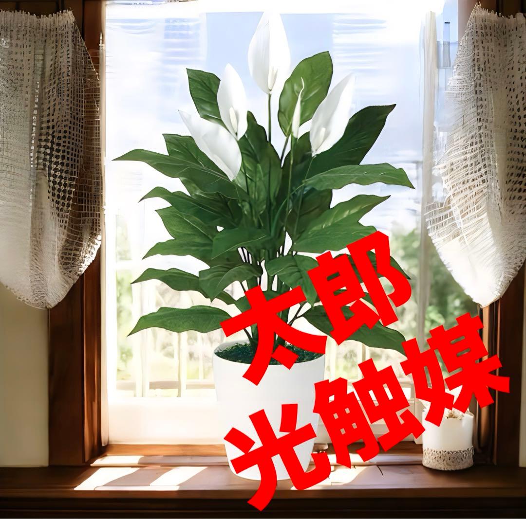 光触媒　人工観葉植物　ウォールグリーン　フェイクグリーン　スパティフィラム 80 光触媒 人工観葉植物 ウォールグリーン フェイク フラワー