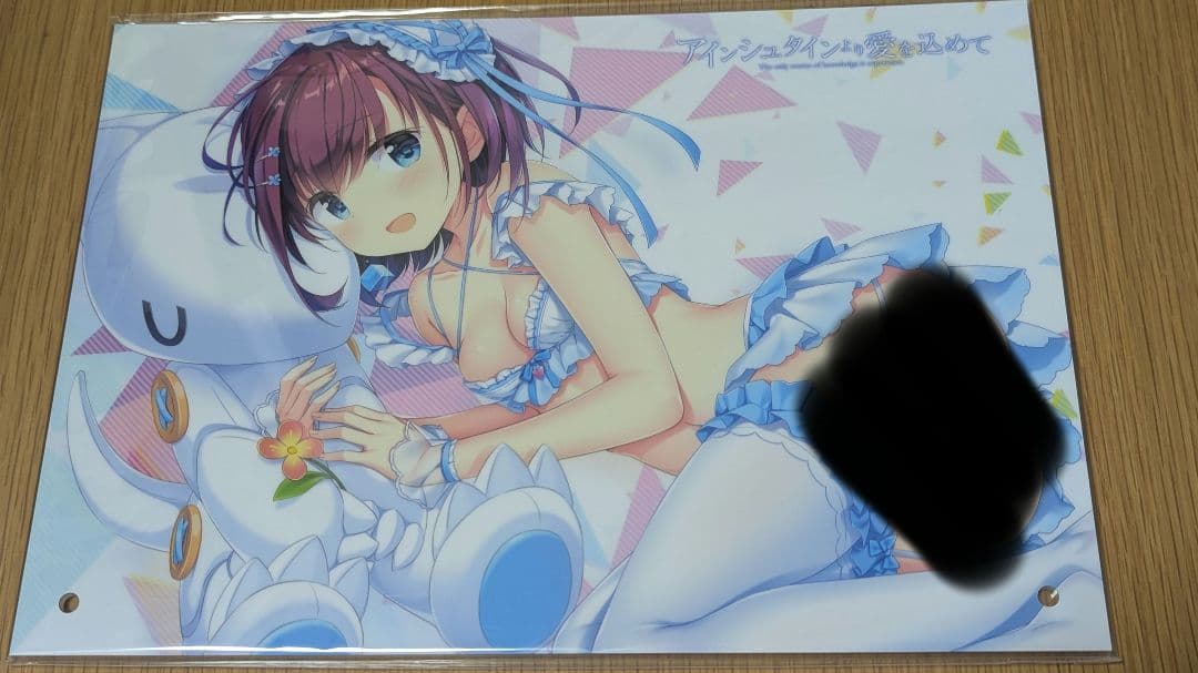 アインシュタインより愛を込めて　豪華限定版　早期予約特典　中古品