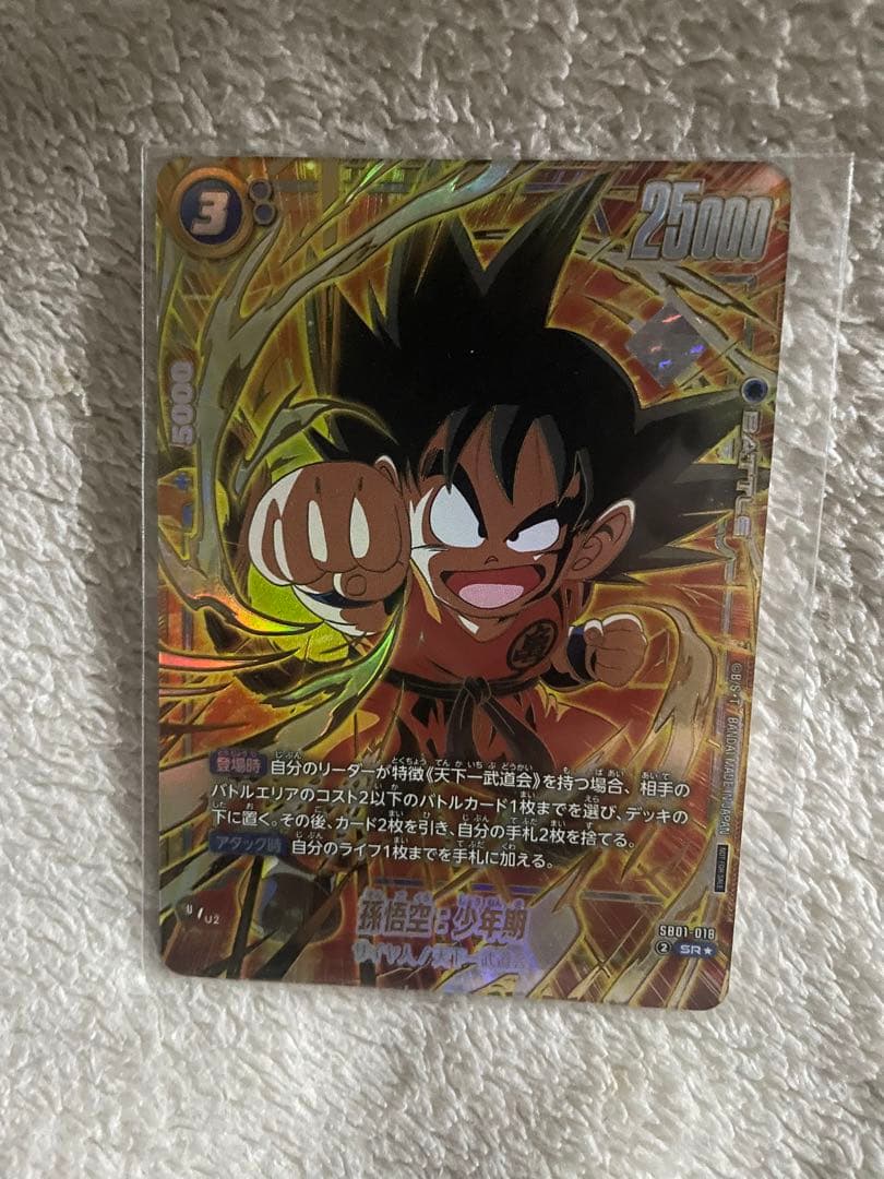 バッドランズ タイム・ゴーズ・バイ BADLANDS TIME GOES BY