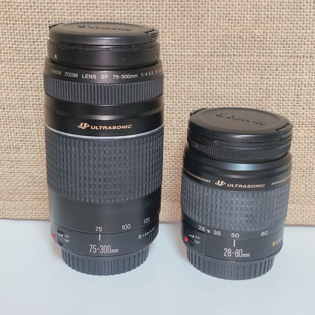 Canon 望遠レンズ 単焦点レンズ 超望遠単焦点レンズを使ってみました！その① | GANREF