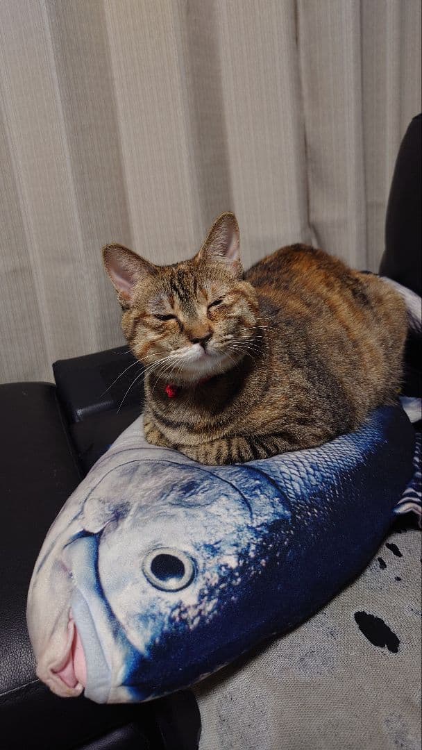 ☆mic ホットウィールまとめて☆ ☆mic ホットウィール2点まとめて mic ホットウィール2点まとめ