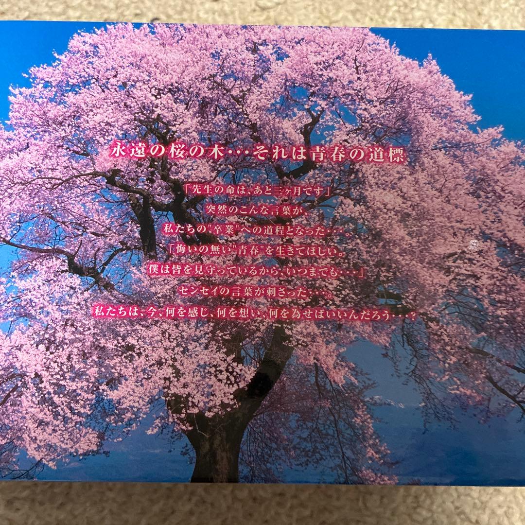 桜からの手紙～AKB48それぞれの卒業物語～ 豪華版 DVD-BOX〈初回生産