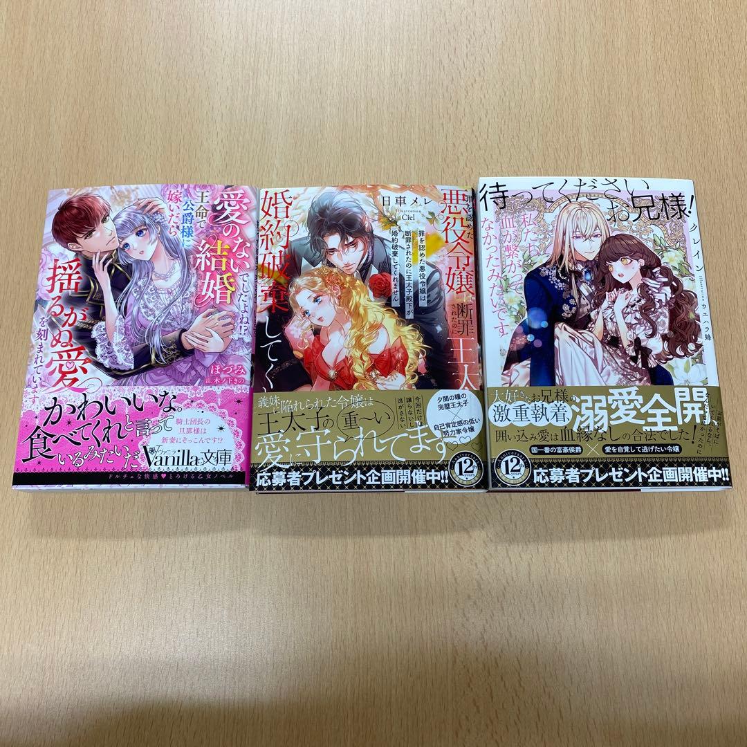 ビビ様専用】2月新刊 ヴァニラ＆蜜猫文庫 4冊セット - メルカリ