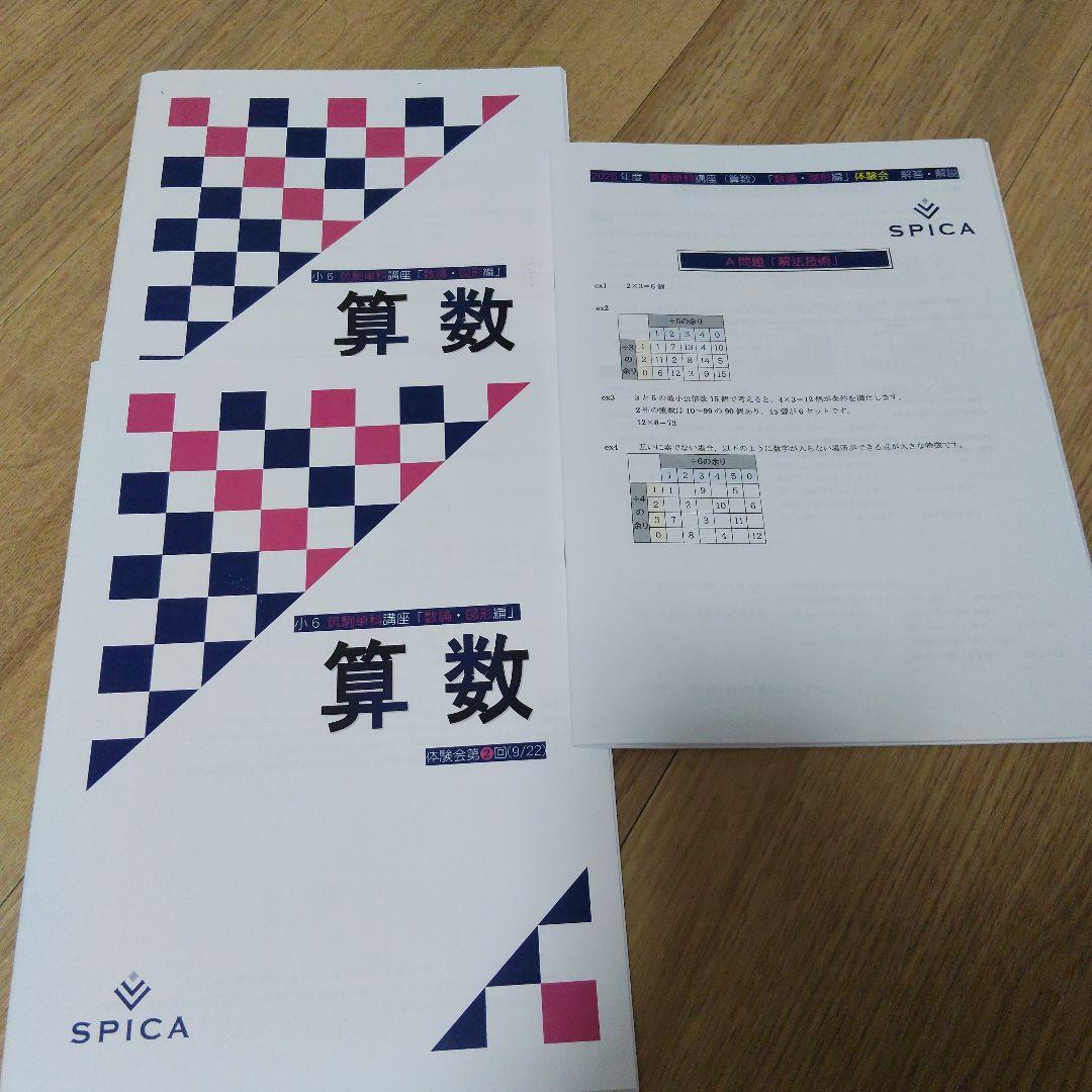 SPICA 算数 筑駒単科 数論図形編 - メルカリ