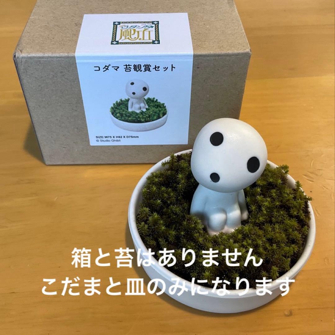 ジブリパーク限定 コダマ もののけ姫 陶器鉢 こだま 苔 - メルカリ