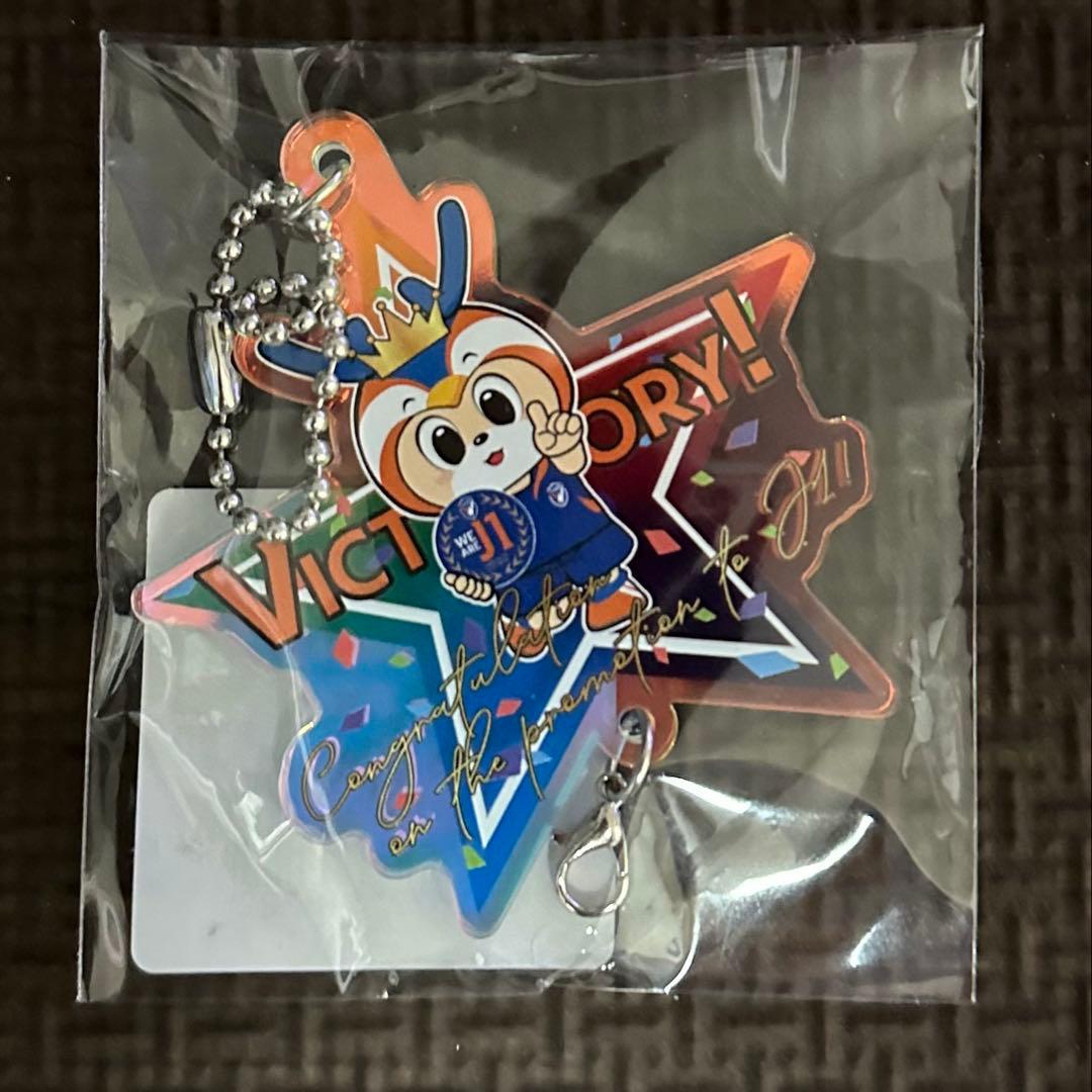 V・ファーレン長崎 J1昇格記念 ヴィヴィくん キーホルダー&タオル