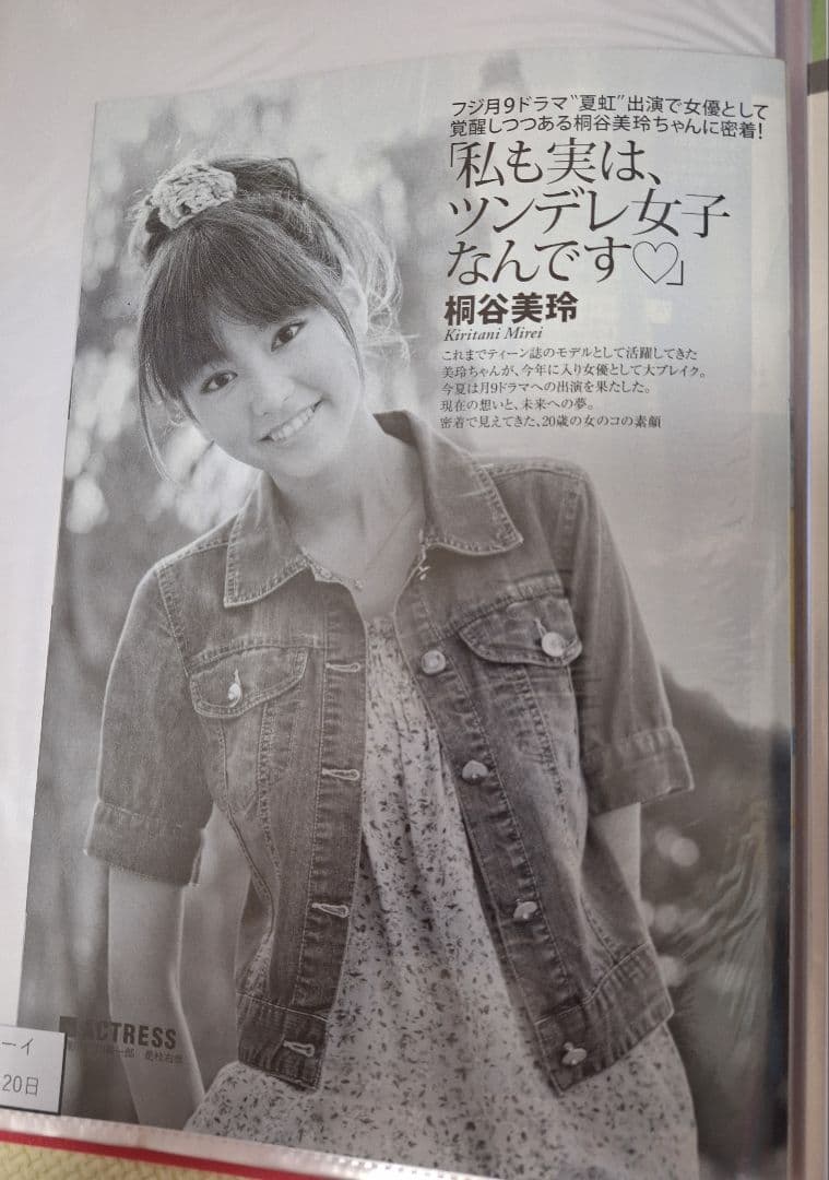 桐谷美玲(1冊200円計算)30冊分114ページ切り抜きしファイリング済み