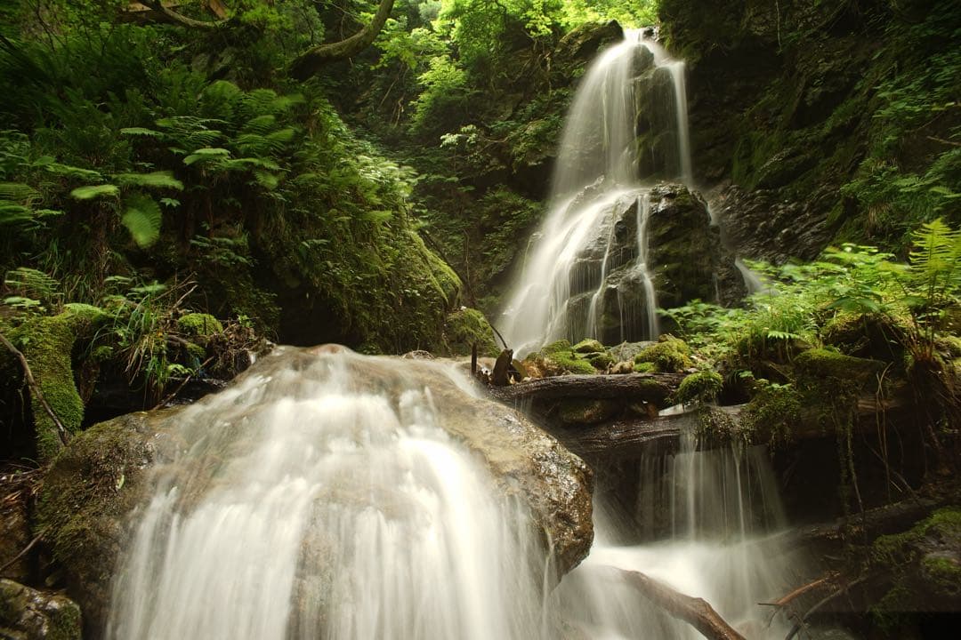 作例付き RMC TOKINA 28-85mm F4 OM 管mpr - メルカリ