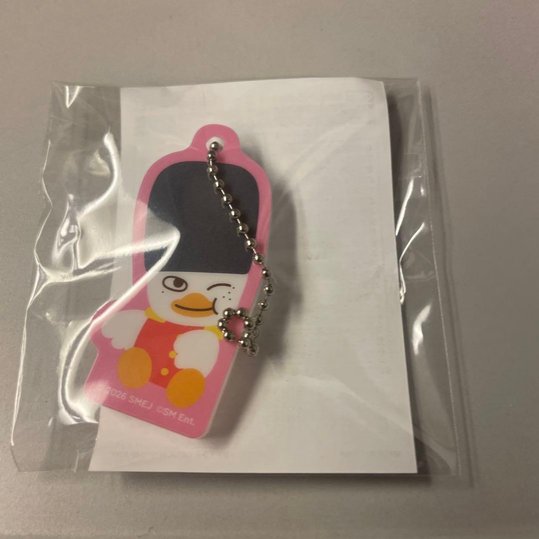 RIIZE ランダムトイ マグネットアクリルチャーム トルビョン ソヒ