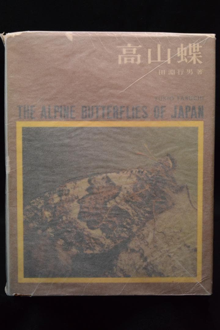 田淵行男 写真集【高山蝶】 昭和34年 初版発行 大幅に値下げしました