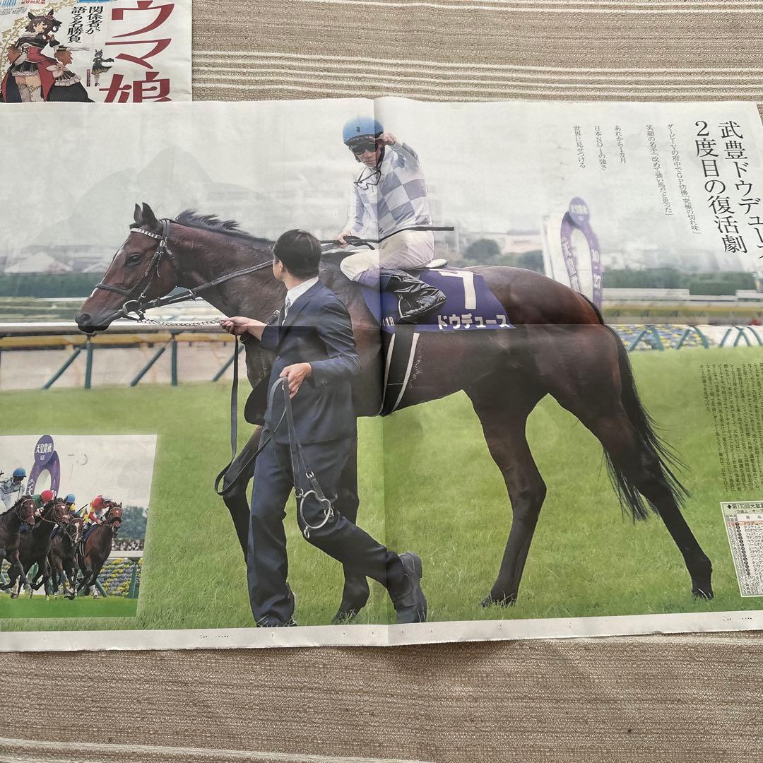 ウマ娘 ニッカン新聞&ウマ娘 付録 ジェンティルドンナ ポスター