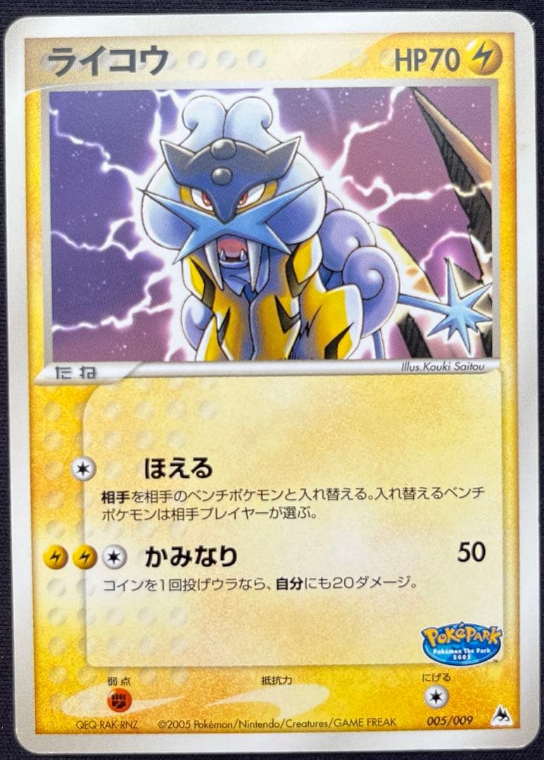 ライコウ ポケパークプレミアムファイル 005/009 - メルカリ
