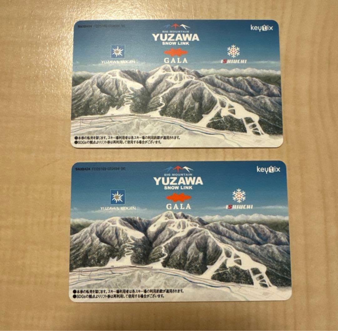 石内 ガーラ湯沢 リフト券 2枚 スキー場 - メルカリ