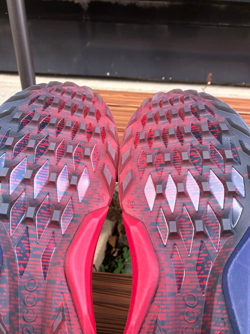 375番 新品ECCO biomゴルフシューズ39 24.5cm スパイクレス