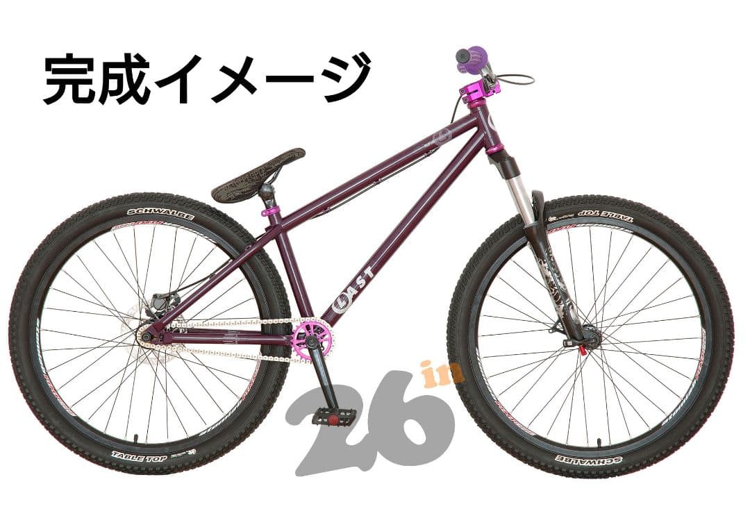 訳あり・改造あり】 LAST BIKES RUFUS フレーム ダートジャンプ - メルカリ