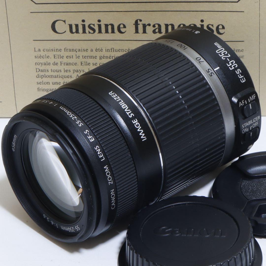 ⭐︎望遠&手ブレ&軽量&良光学⭐︎ Canon純正 250mm 望遠ISレンズ