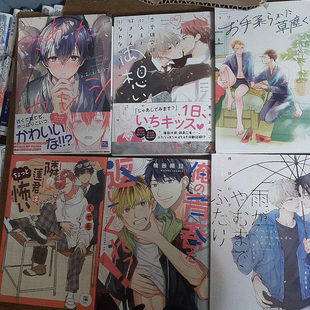 商業BL 2023年発売コミック ① バラ売り歓迎！1冊250円 - メルカリ