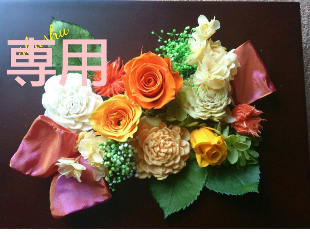 ドクターセレクト♪320000 プラセンタ ドリンク 30包] 商品説明覧必須