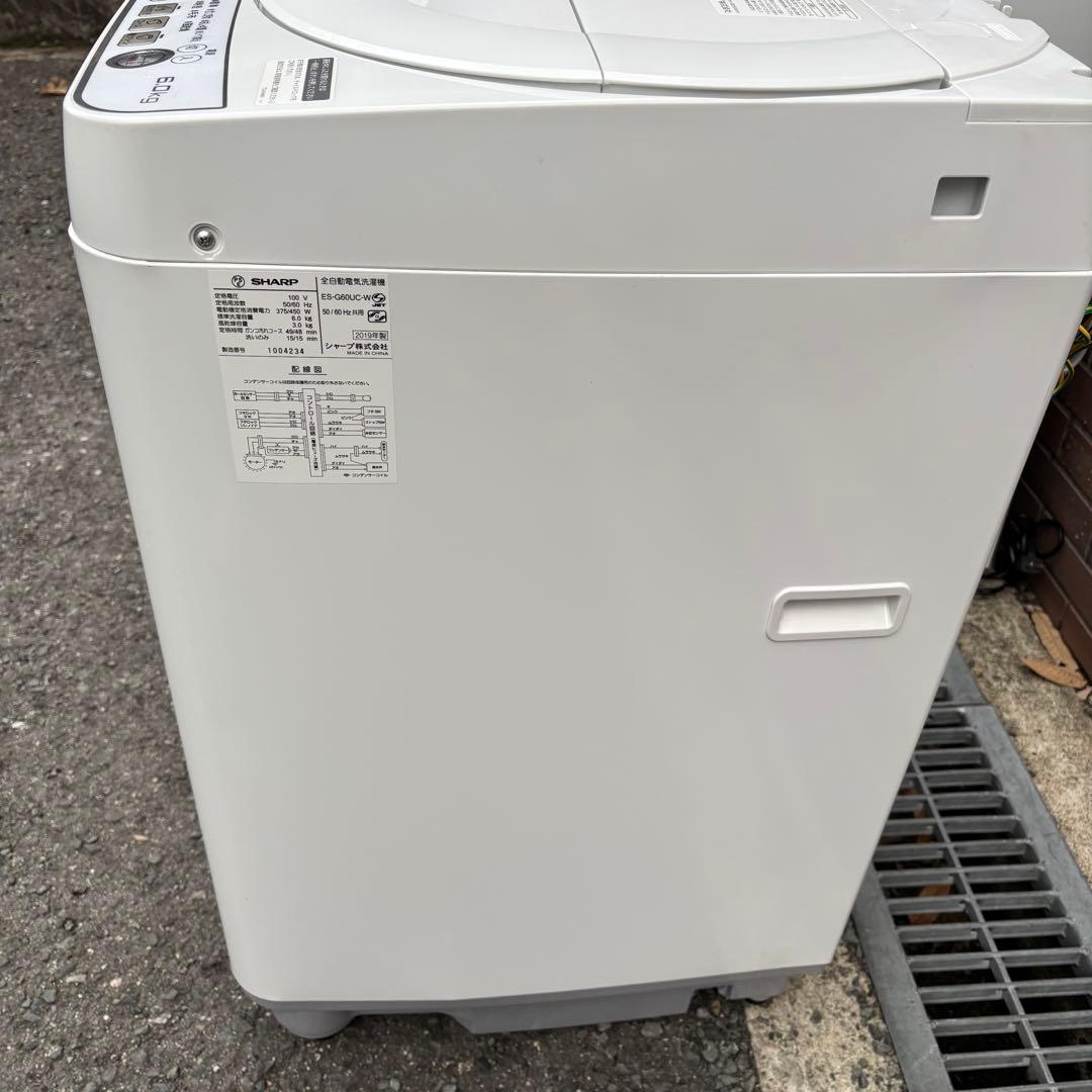 SHARP 6.0kg 全自動洗濯機 ES-G60UC-W 2019年製