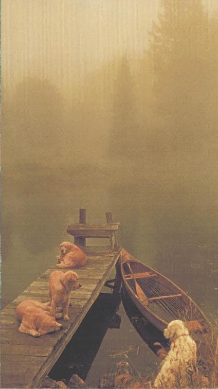 限定マット額装品/HERMES エルメス ブルース・ウェーバー アート