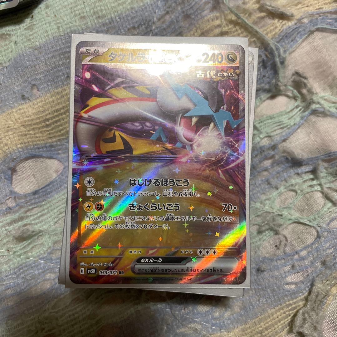 ポケモンカード引退品デッキ タケルライコポン スリーブ ケース付き