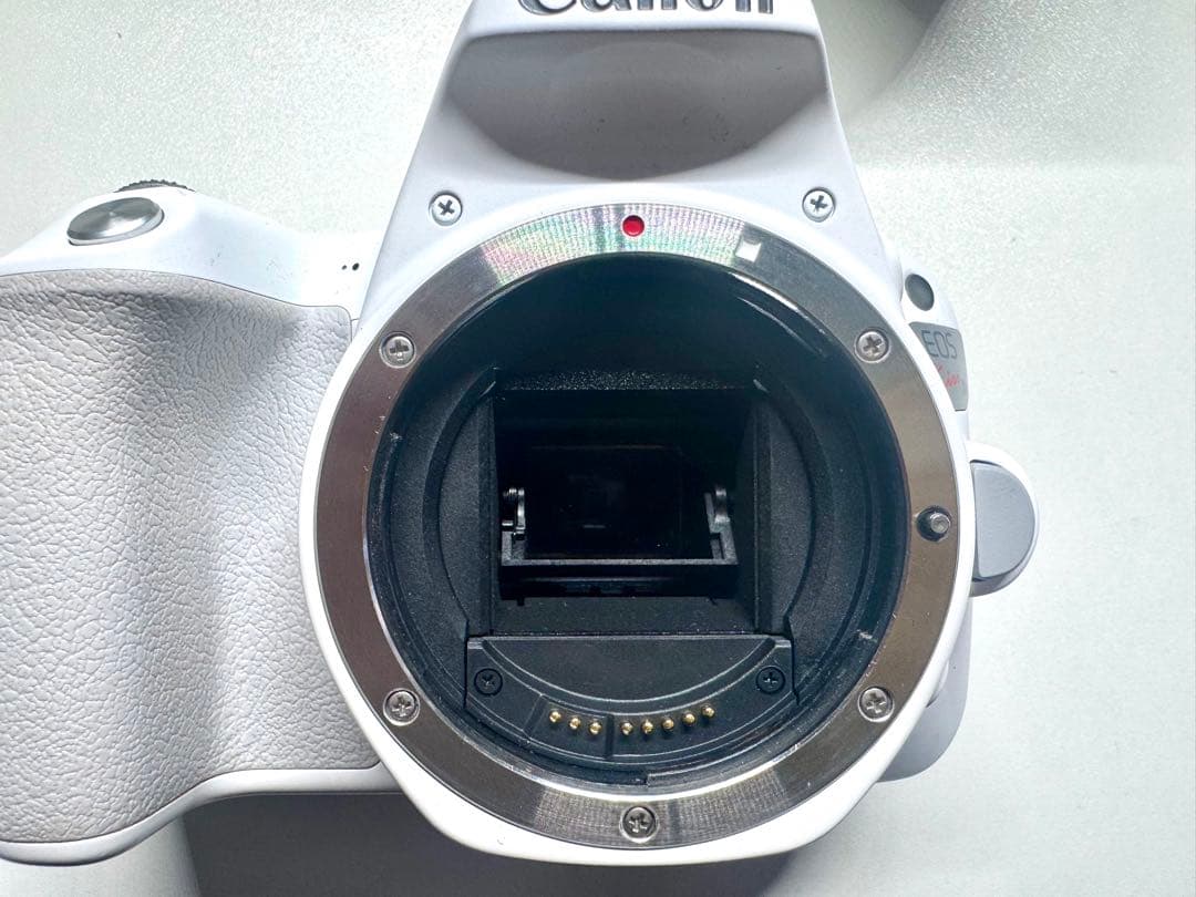 Canon EOS KISS X9 標準&望遠レンズセット - メルカリ