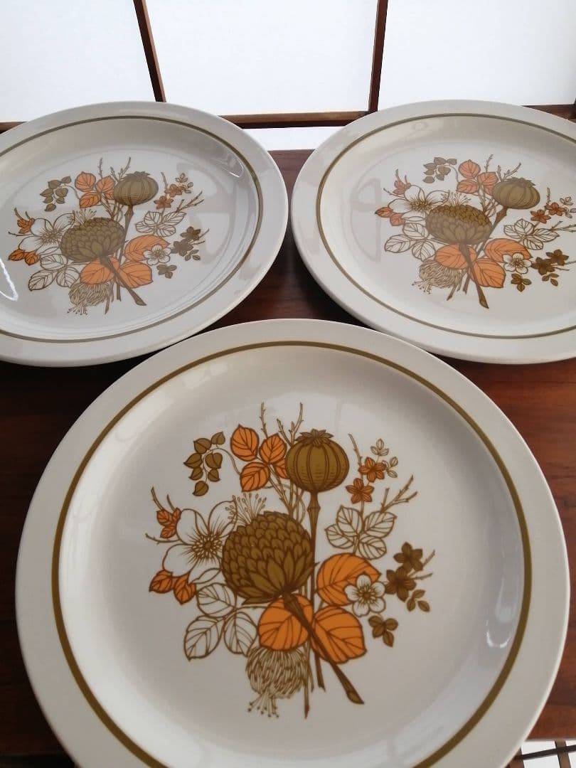 未使用 ビンテージ Midwinter COUNTRYSIDE リム付きプレート 2026年最新】midwinterの人気アイテム - メルカリ