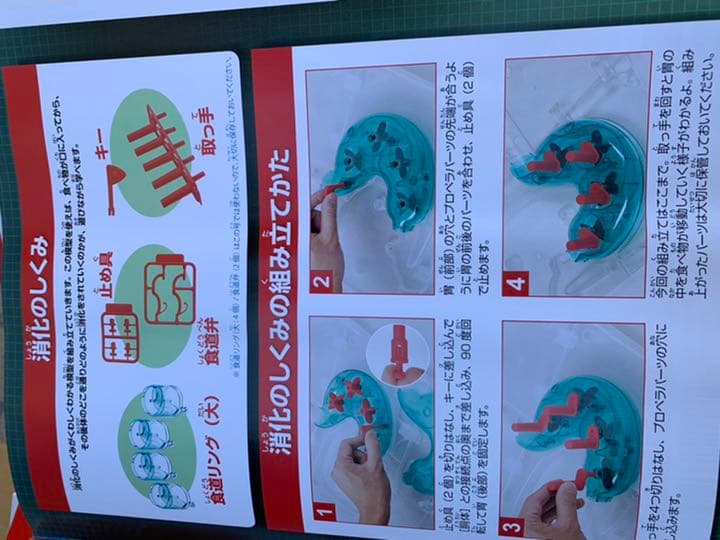 ディアゴスティーノ　体のふしぎ全巻