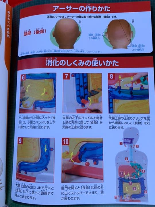 ディアゴスティーノ　体のふしぎ全巻