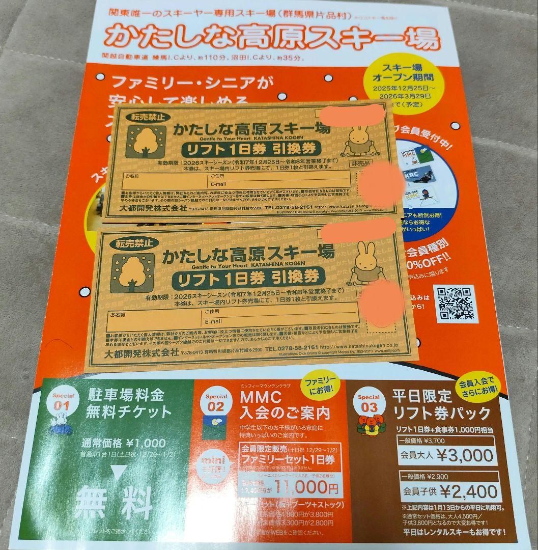 かたしな高原スキー場 リフト1日券✕2枚 +駐車場無料券 - メルカリ