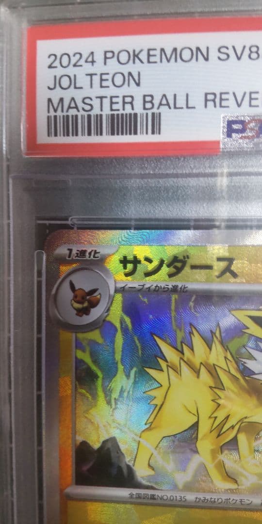 ま*✨様 【PSA10】サンダースSV8aテラスタルフェスex 051/187マ - メルカリ