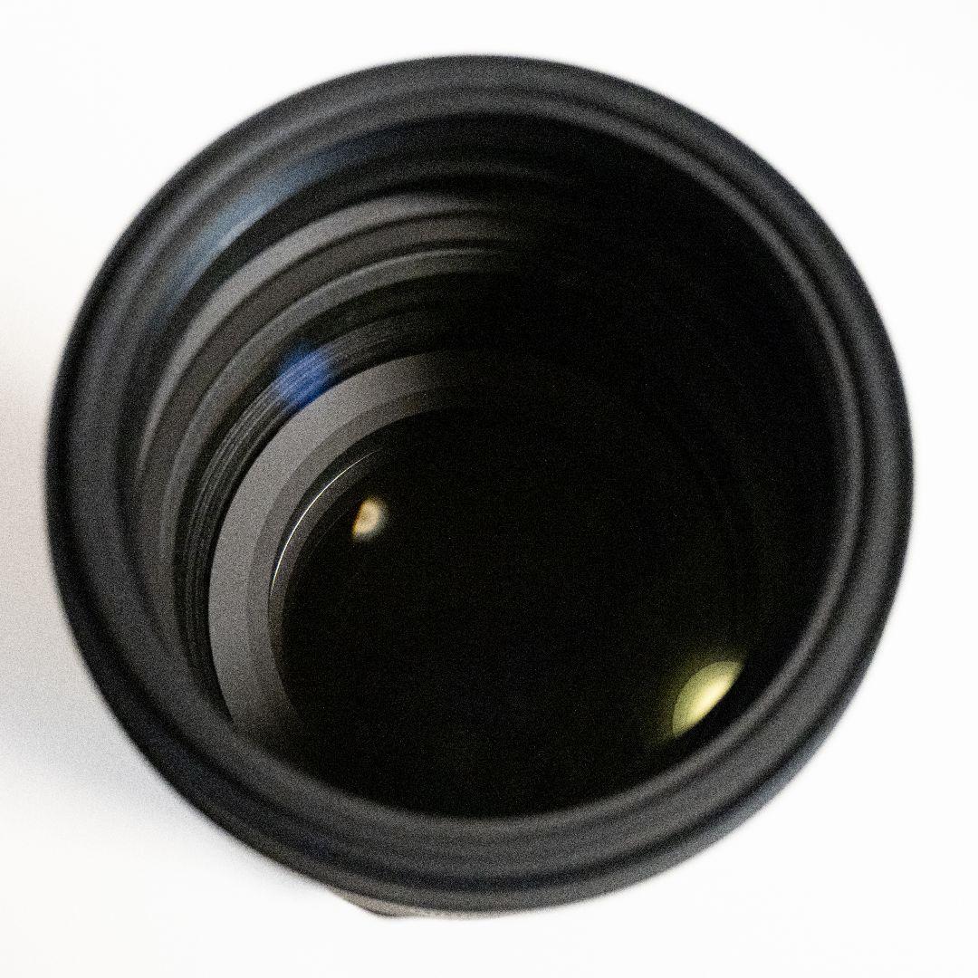 【純正フィルター付】NIKKOR Z180-600mm f/5.6-6.3 VR