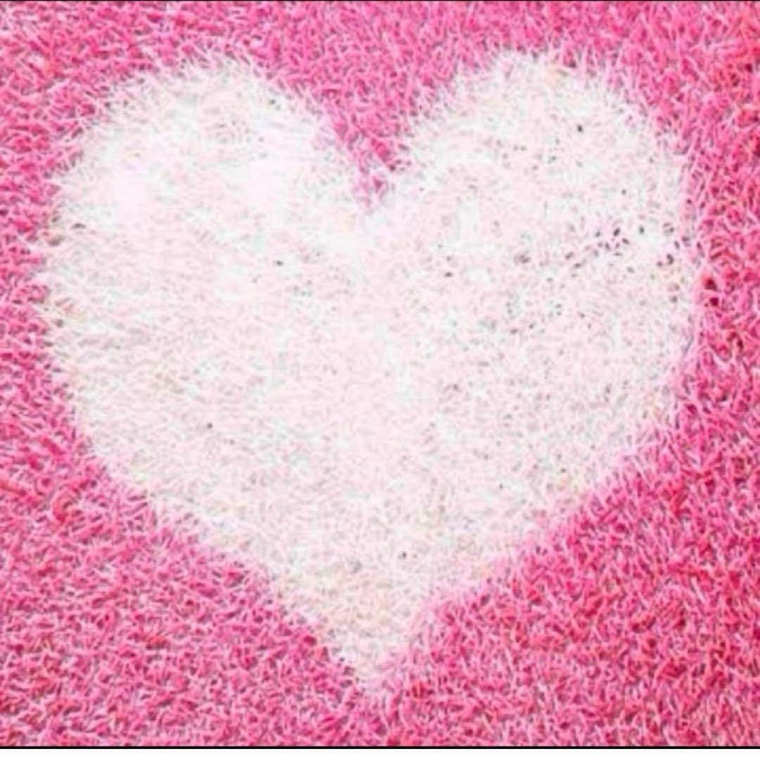 みっきーさま専用 Z/X -Zillions of enemy X- | 商品一覧 | TCG / サプライ | 株式会社