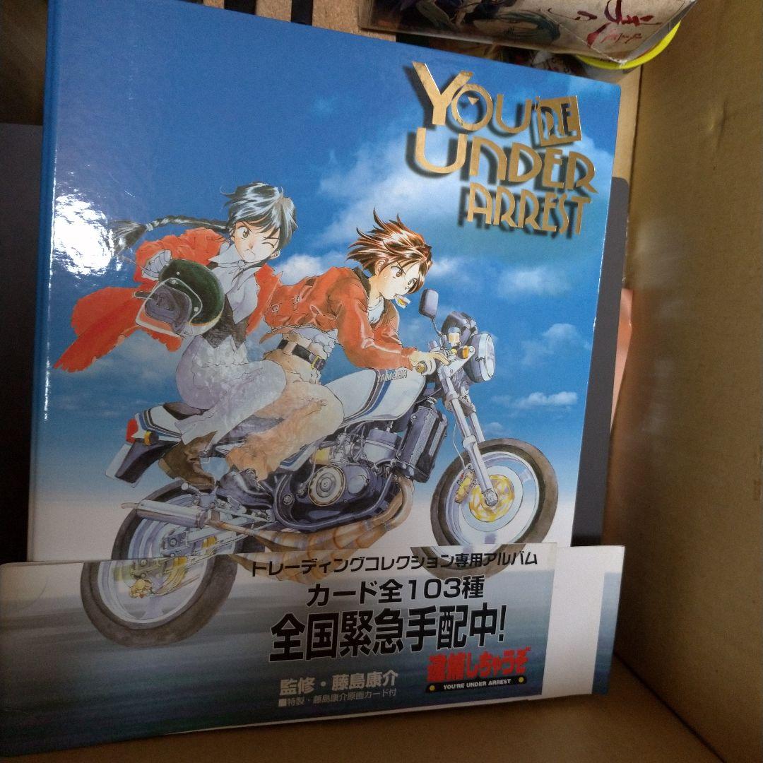 逮捕しちゃうぞ＆トゥルーラブストーリー2トレーディングカード入り