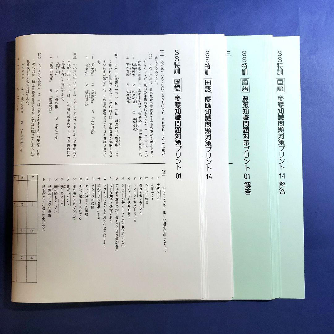 SAPIX SS特訓【慶應知識問題対策プリント】 - メルカリ