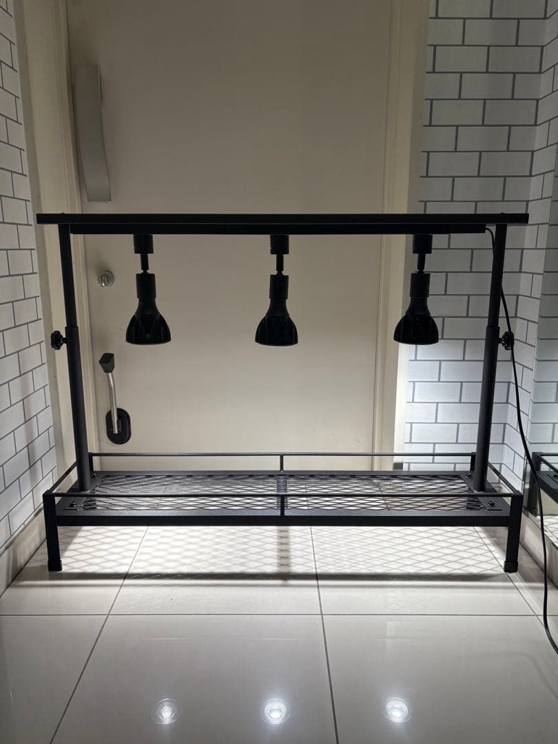 チッピング塗装　ミニ植物棚　卓上植物棚　アガベ　シーザー　ハデス　パキプス ミニ植物棚 卓上植物棚 アガベ シーザー ハデス パキプス 塊根