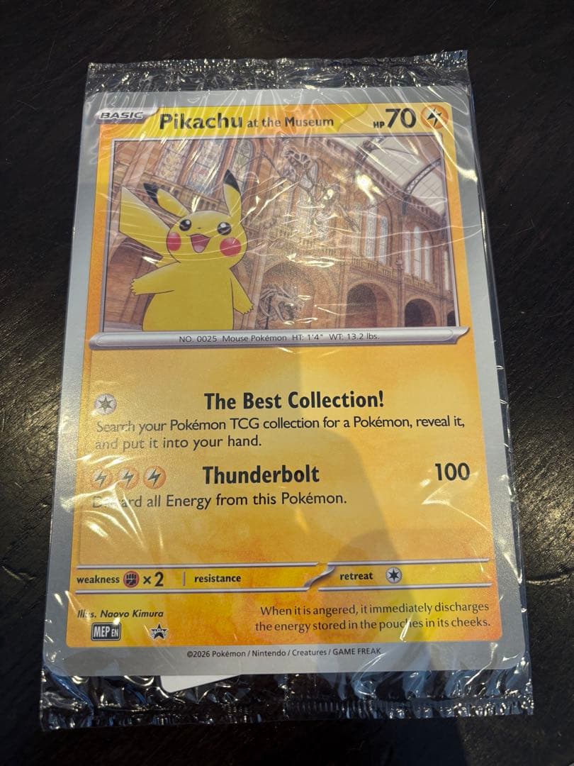 Pikachu at the Museum ピカチュウ 自然史博物館 ロンドン - メルカリ