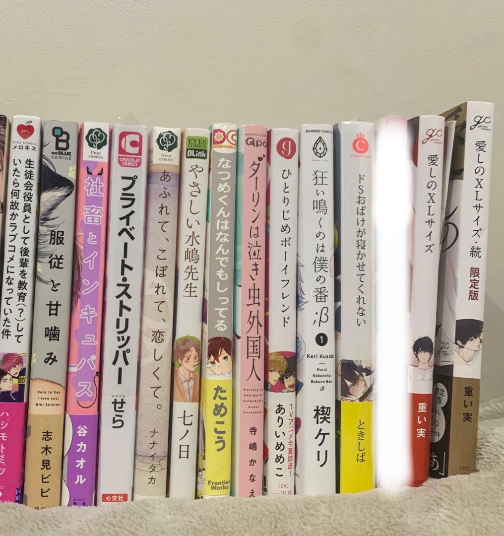 BL本　まとめ売り。バラ売り可