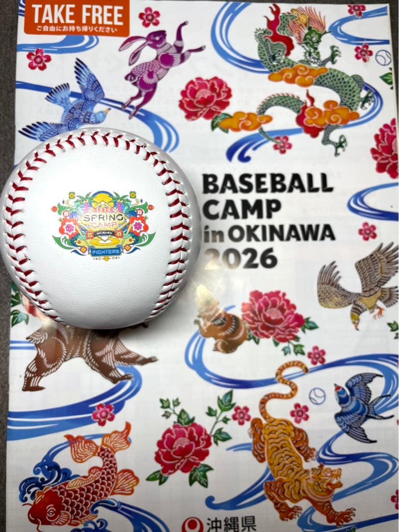 日本ハムファイターズ 伊藤大海 直筆サインボール 2026 沖縄キャンプ